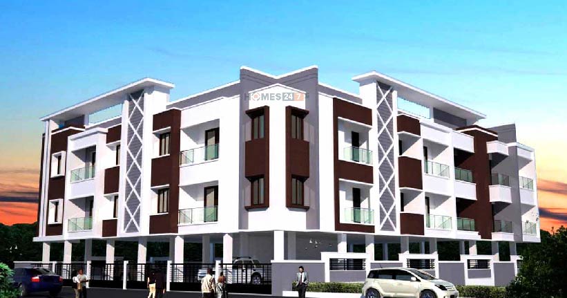 Honour Shallows Cover Image